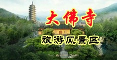 中国小美女日B中国浙江-新昌大佛寺旅游风景区